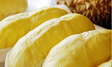 Thailand frozen durian Durian