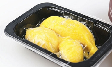 Import durian investment price